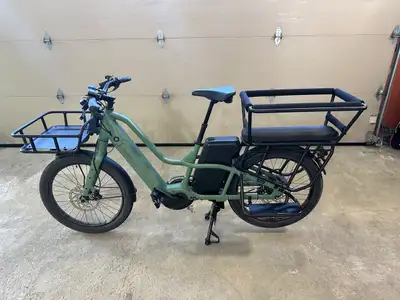 Momentum (Giant) Pak Yak E+ ebike with extras, View more