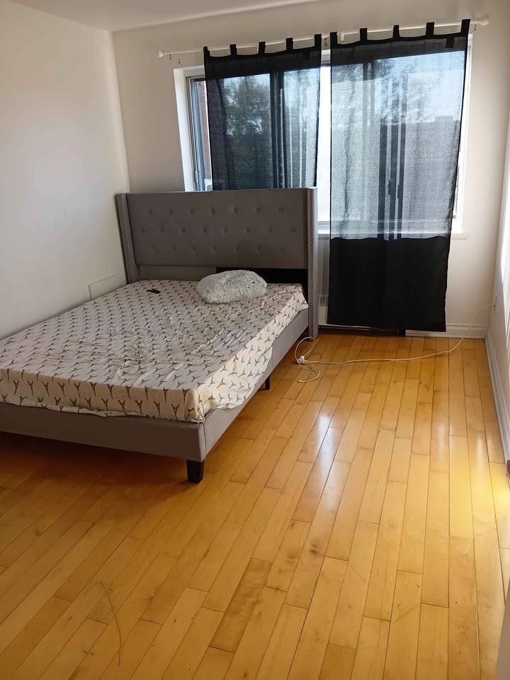 1 Bed 1 Bath Apartment — photo 3
