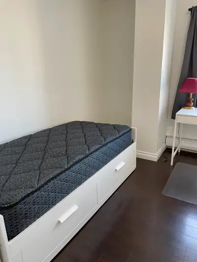 Furnished One Bedroom for Rent Downtown Edmonton - Quiet, mature University Student, Female Preferre...