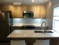 Upgraded 2 Bedroom in Downtown St Catharines, Brock and the Bus!