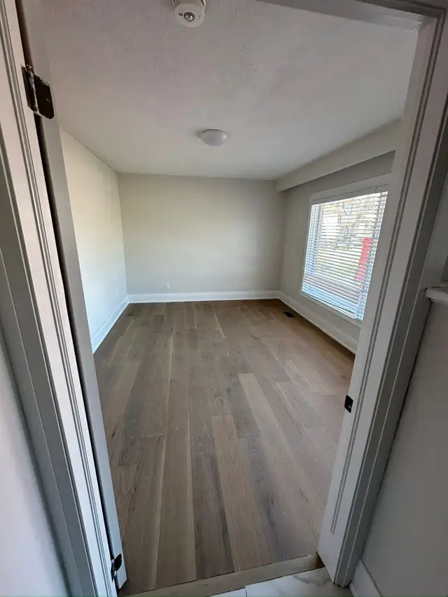 Bright construction & renovation62863241482113122