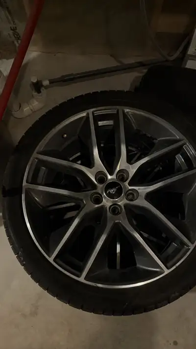 One year old Michelin tires 295/30ZR20 with 20” mustang rims. Also have a front grill for a 2015-201...