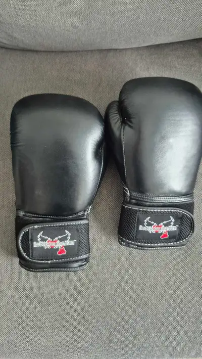 Boxing Gloves 12 oz Womens-ilovekickboxing, View more