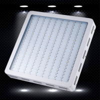 LED Grow Light for indoor gardening