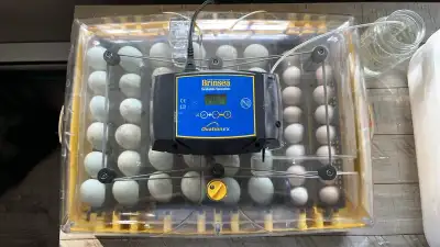 Brinsea 56 EX Incubator, View more