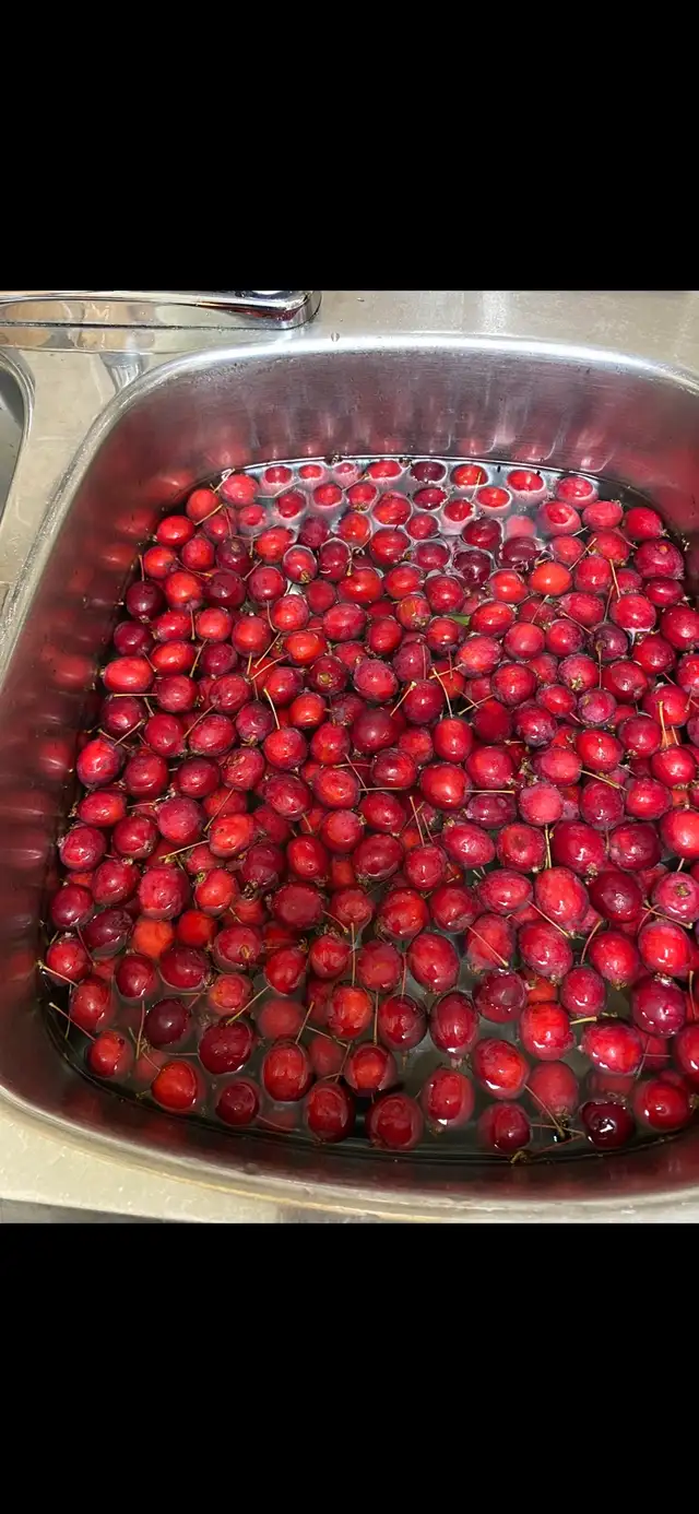 Looking for someone with a red Crabapple Tree 
