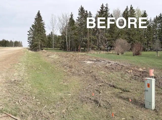 Mulching. Stump removal. Skid Steer services.