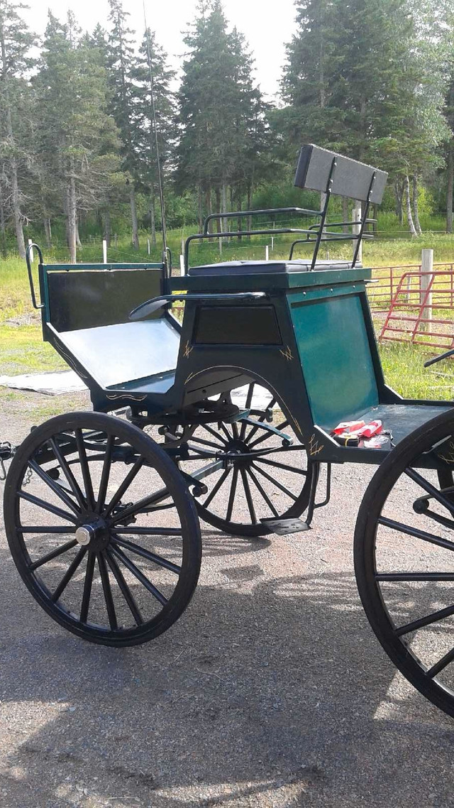 Horse Carriage  in Equestrian & Livestock Accessories in New Glasgow - Image 4