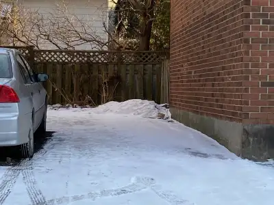 Parking - 5 minute walk to NRCan/Glebe/Little Italy - 520 Cambridge St South - paved, 24/7 access, s...