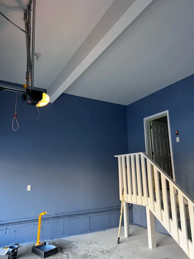 professional painter63005662392321122