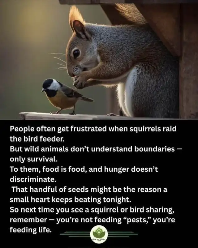 Great Friend Only!!! (Edmonton Only)!!!!64520064735619124