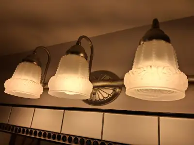 Wall light fixture (shades not included), View more