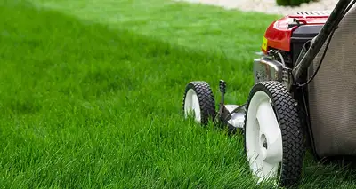 CREW LEAD - LAWN MAINTENANCE, View more
