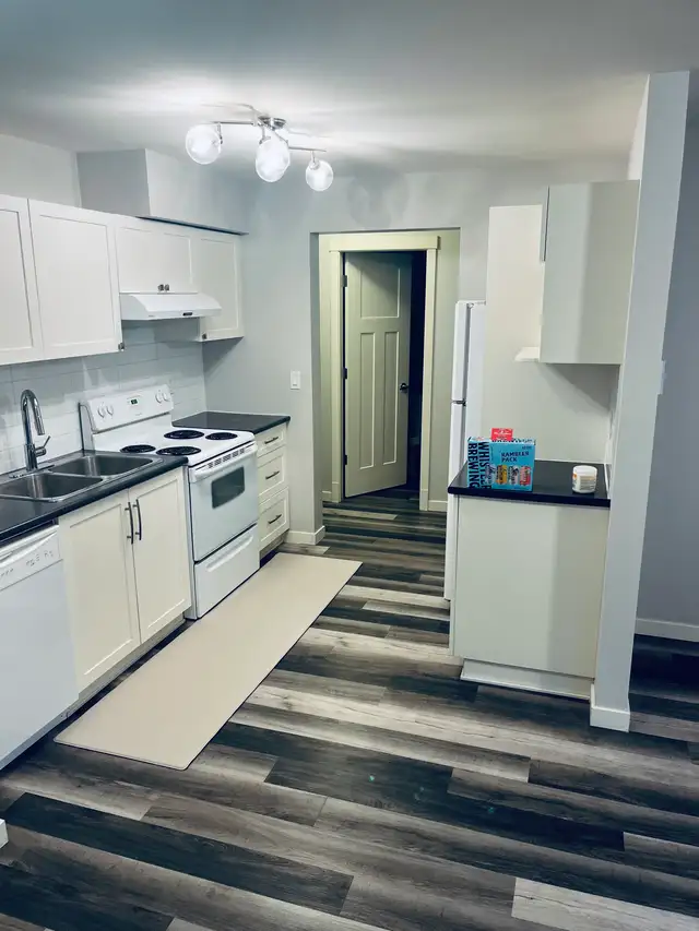 CLEAN, BRIGHT AND MODERN - NEWLY UPDATED 2 BED/1 BATH in Long Term Rentals in Delta/Surrey/Langley - Image 2