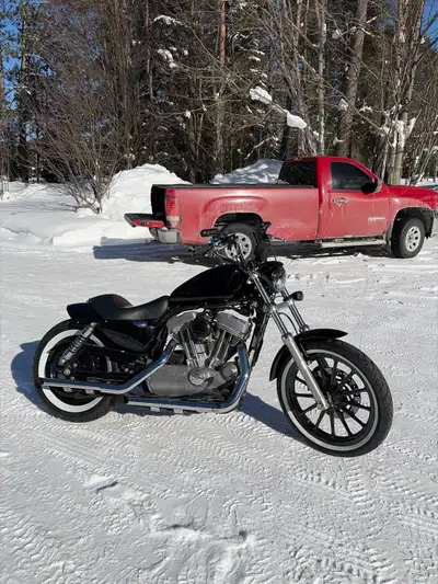 For sale is my 2005 Harley Davidson sportster 883 has 11660 miles new tires front and rear rims are...