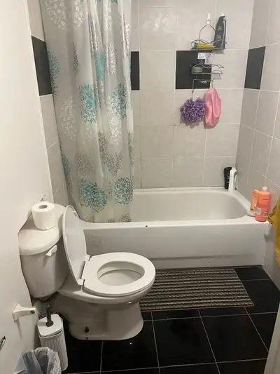 Studio apartment walkout basement available for rent on January first 2026.