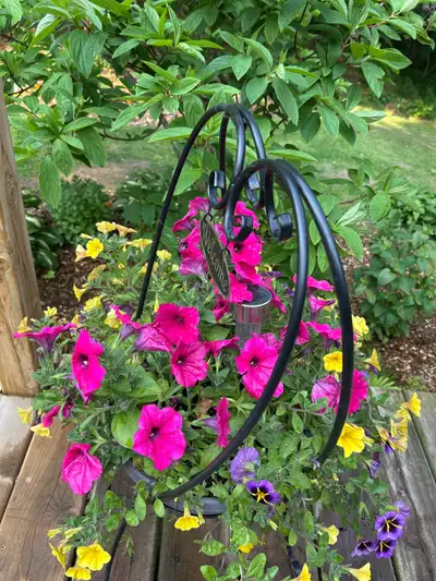 Lawn cutting and trimming. Planting flowers mulching. Painting. Pool up keep. Eves trough cleaning s...
