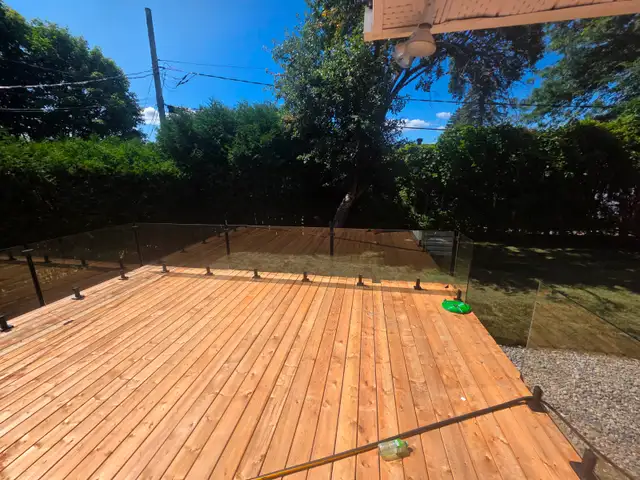 Renovation486353603197685761