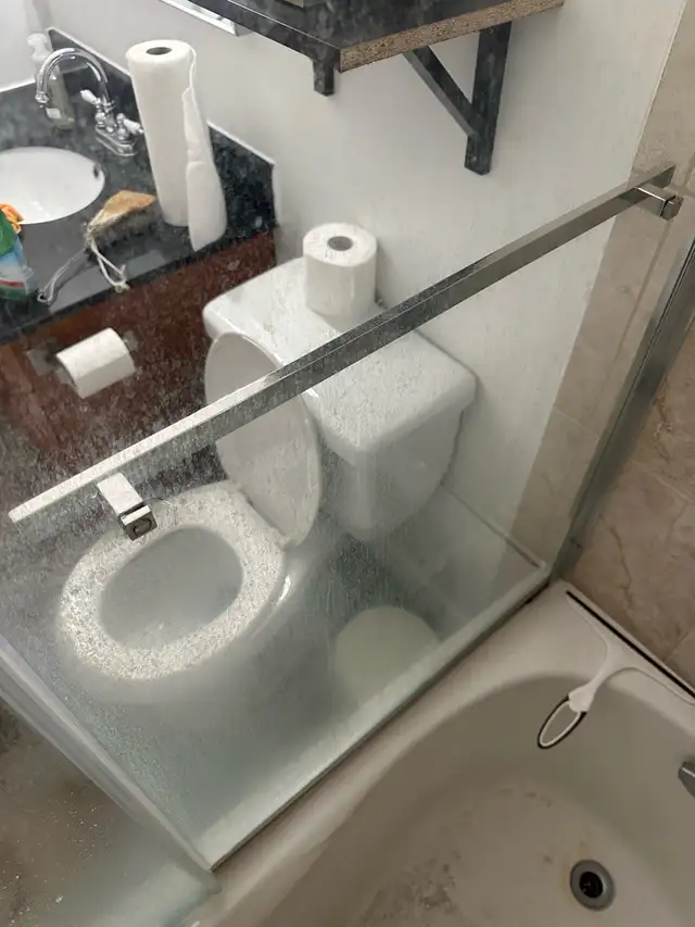 Cleaning lady538899691540336645