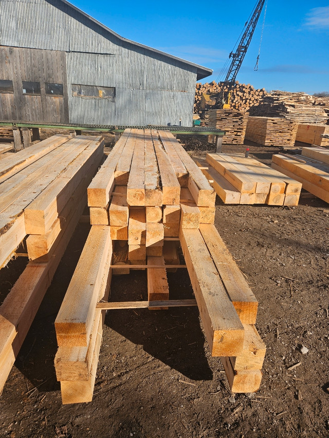White Cedar lumber in Other in Belleville - Image 2