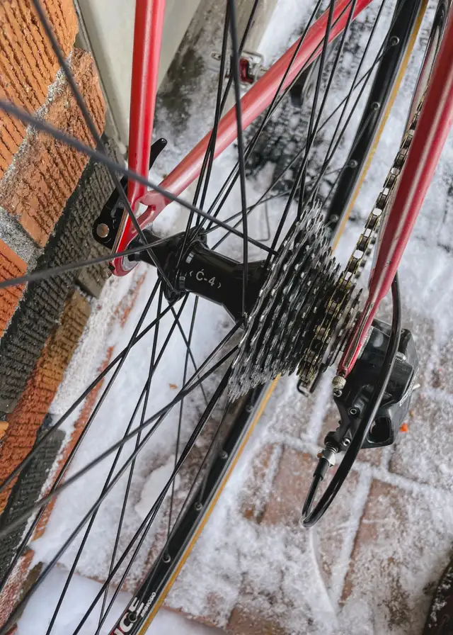 Pinarello Treviso - Campagnolo Chorus 11 - Neo-Retro in Road in Barrie - Image 5