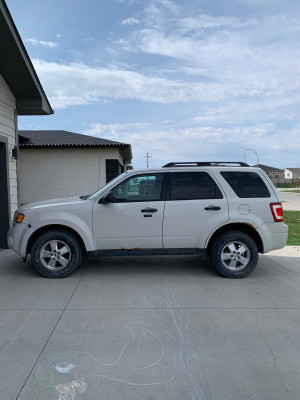 2010 Ford Escape