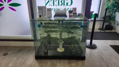 Glass Display with backsliding door, View more