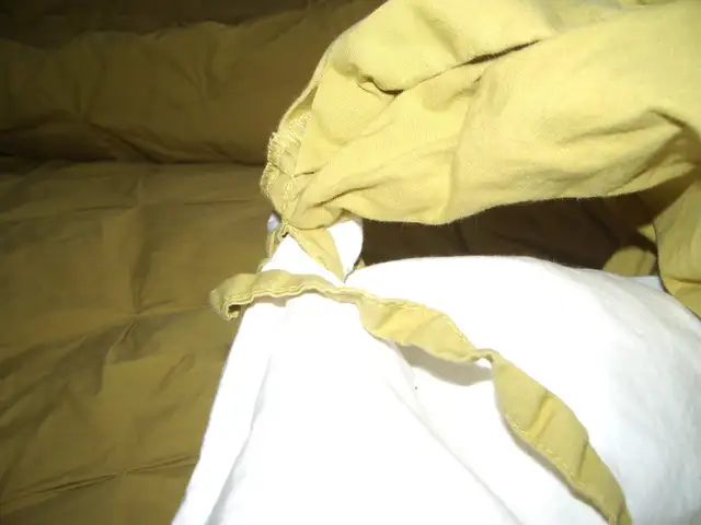 IKEA Honsbar Duvet w. Cover - Queen Size in Bedding in Hamilton - Image 5