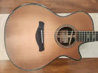 Taylor 912ce WHB Builders Edition, View more