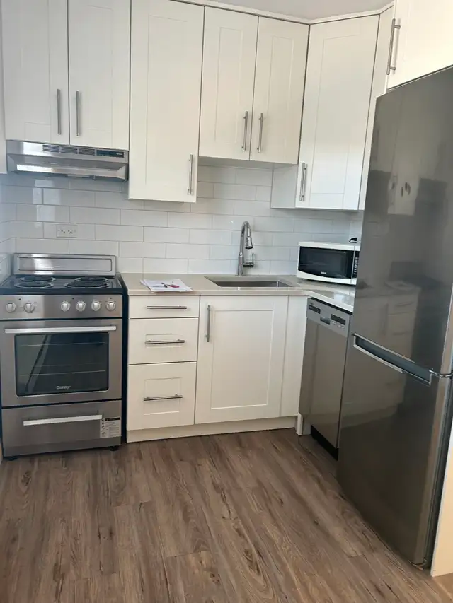 CLOSE TO JASPER AVE. AND LRT- FULLY RENOVATED LARGE ONE BRM UNIT