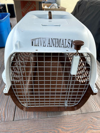 Cat Carrier, Toy, and litter box