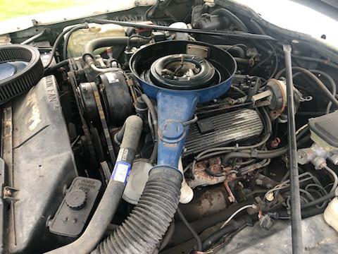 1985 Cadillac Seville  in Classic Cars in Mississauga / Peel Region - Image 4