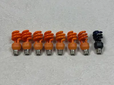 Halloween CFL Light Bulbs - 13W - for Indoor/Outdoor Use, View more