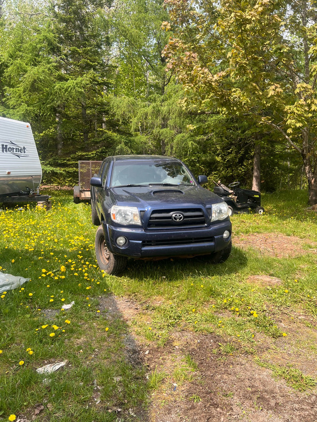 2007 Tacoma in Cars & Trucks in Moncton - Image 3