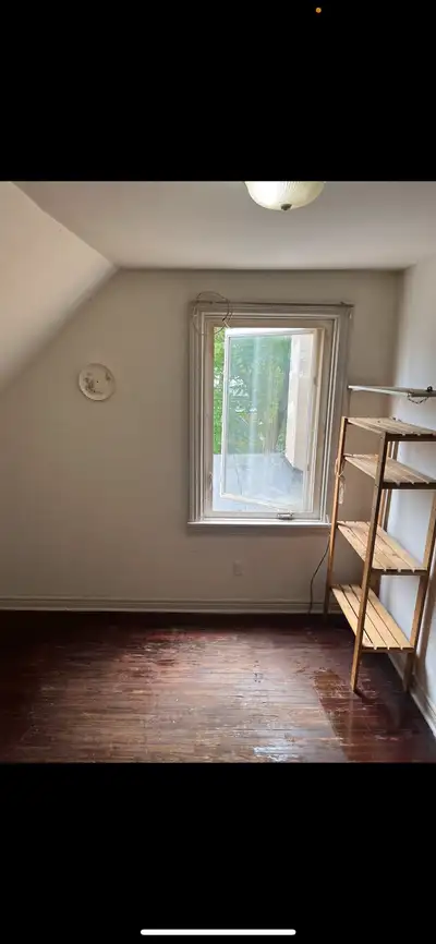 room for rent DuPont and Davenport area available June 20th