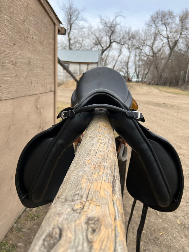 Anky dressage saddle  in Other in Brandon - Image 4