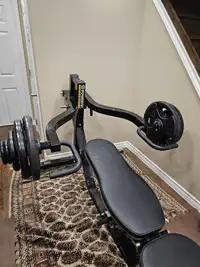 Powertec bench, leg extension, tricep dips and weights included
