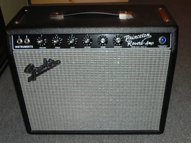Fender Princeton Reverb 1964 clone in Amps & Pedals in City of Montréal - Image 2