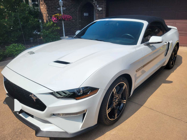 2019 ford mustang convertible in Cars & Trucks in Windsor Region