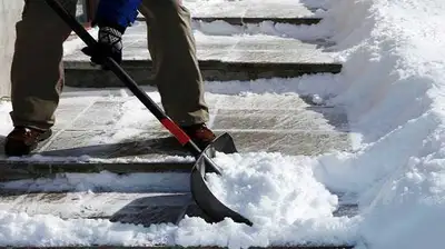 Looking for snow shoveling laborers, View more