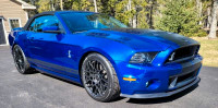 2013 MUSTANG SHELBY GT500