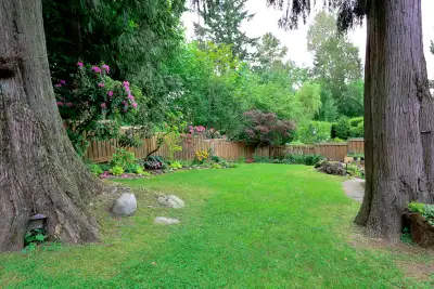 **DEER LAKE*FURNISHED**Buckingham Heights*Avail Dec15-Jan25, View more