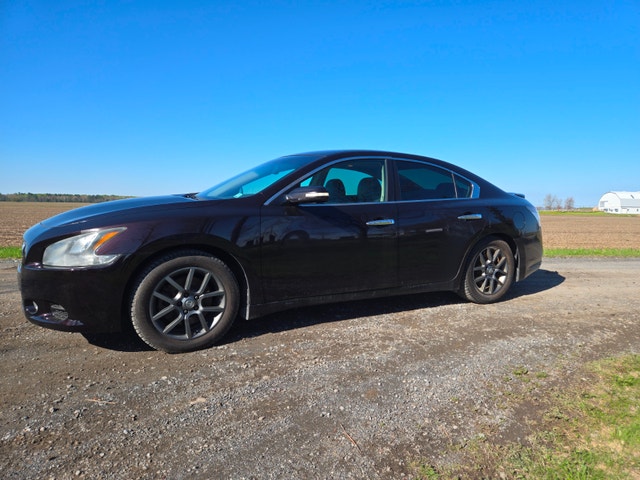 Nissan Maxima — photo 3