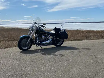 2006 HD fat boy Detachable Windshield Vance and Hines twin ground pounders Sissy bar Crash bar with...