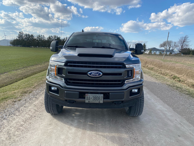 Lifted 2019 Ford F150 Finance and trades  in Cars & Trucks in Leamington - Image 3