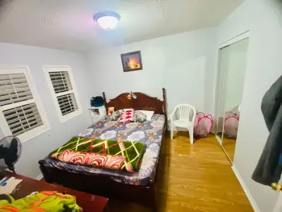 room for rent