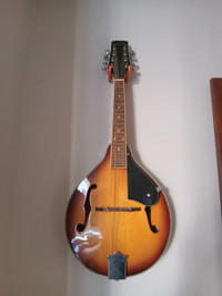 2009 Mandolin