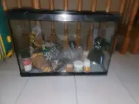 Aquarium  pour Lezard