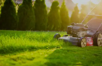 Keep your lawn looking its best with our professional lawn mowing and landscaping services! Our expe...