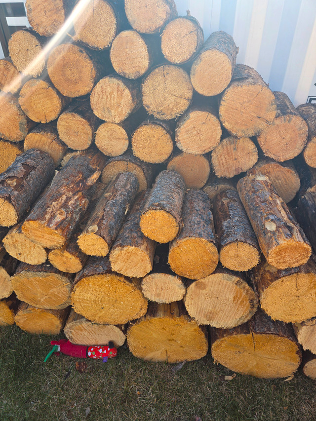 Firewood for sale in Other in Calgary - Image 3
